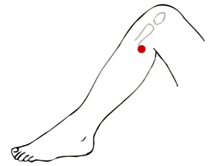 足三里